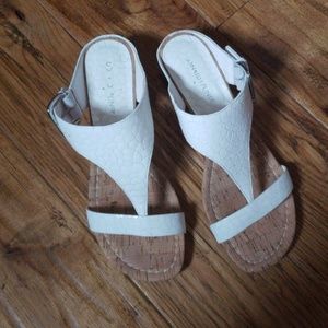 Donald Pilner Sandles/Shoes